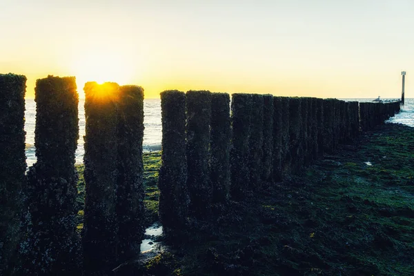 Hermoso Paisaje Marino Costa Holandesa Cadzand Zelanda Holanda Con Una — Foto de Stock