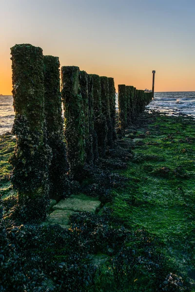 Rompeolas Con Olas Playa Cadzand Nethlerands — Foto de Stock