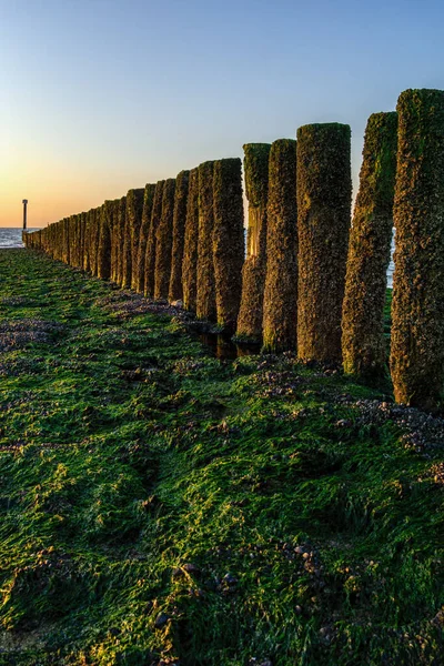 Quebra Ondas Com Ondas Praia Cadzand Nethlerands — Fotografia de Stock