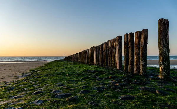 Cabeças Pólo Quebra Ondas Desaparecem Perto Mar Norte Holanda — Fotografia de Stock