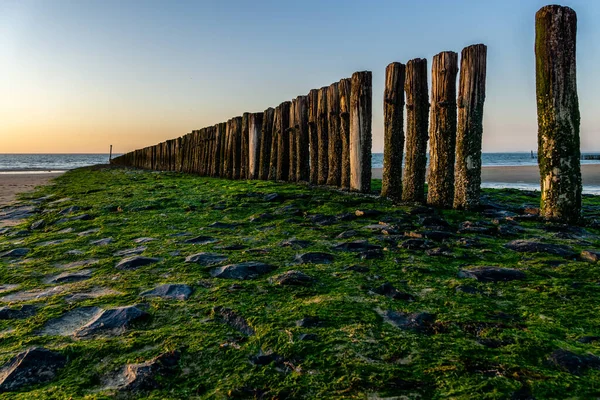 Cabeças Pólo Quebra Ondas Desaparecem Perto Mar Norte Holanda — Fotografia de Stock