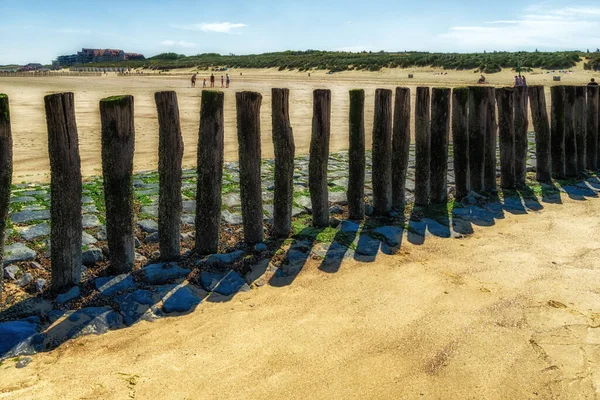 Breakwaters Praia Cadzand Bad Holanda — Fotografia de Stock