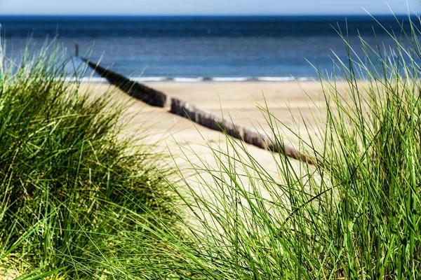 Praia Com Quebra Fios Madeira Paisagem — Fotografia de Stock