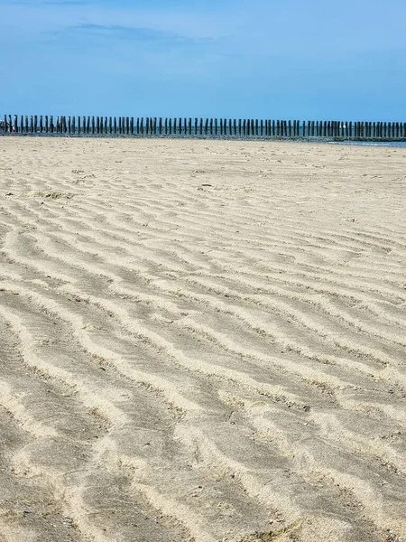Undulating Ribbed Patterns Sand Created Wind Seawater Cadzand Beach Países — Fotografia de Stock