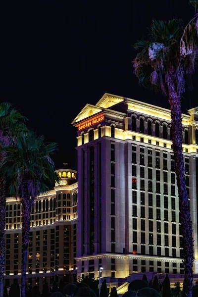 Las Vegas Nevada Usa August 2022 Illuminated Gardens Romanesque Caesars — стокове фото