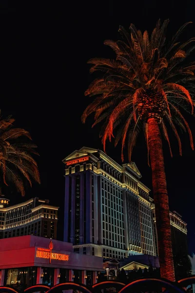 Las Vegas Nevada Usa August 2022 Illuminated Gardens Romanesque Caesars — Stock Photo, Image