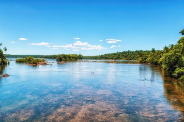 The Iguazu river flowing across the jungle in the frontier between Argentina and Brazil. The fresh water, shallows and green forest under a blue sky.