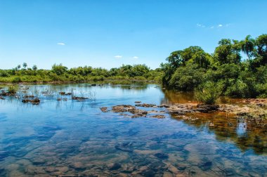 The Iguazu river flowing across the jungle in the frontier between Argentina and Brazil. The fresh water, shallows and green forest under a blue sky.