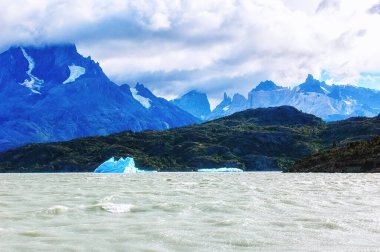 Buzuldan gelen buz Torres del Paine gölünde yüzüyor.
