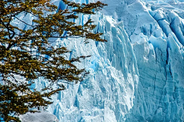 Perito Moreno Glacier Argentina Los Glaciares National Park —  Fotos de Stock