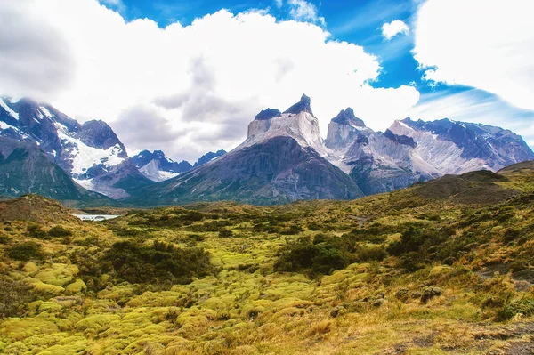 Nature Scene Torres Del Paine National Park Chile Patagonia South — Stockfoto