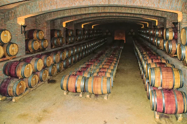 Winery Oak Barrells Santiago Chile — Stock fotografie