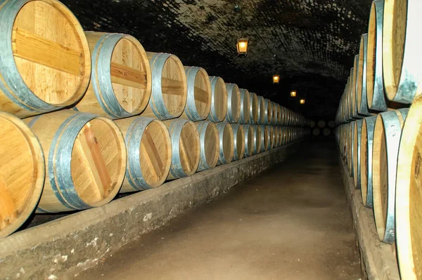 Winery Oak Barrells in Santiago de Chile