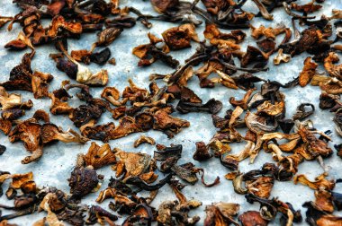 Şangri-La ya da Zhongdian, Yunnan, Çin 'deki Budist kasabasının eski kesiminde kurutulmuş mantarlar.