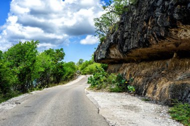Bonaire, Karayipler 'de bulutlu gökyüzünün altında yeşil manzarayla çevrili bir yol.