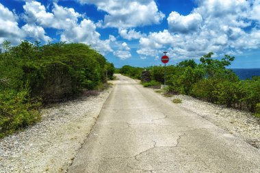 Bonaire, Karayipler 'de bulutlu gökyüzünün altında yeşil manzarayla çevrili bir yol.