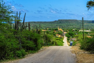 Bonaire Adası 'ndaki Rincon' a giden yol ve manzara.