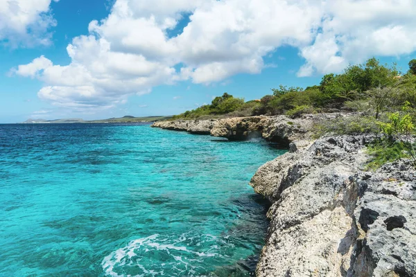 beautiful coast on the caribbean island of bonaire, good snorkel dive site on island. enjoy relaxation