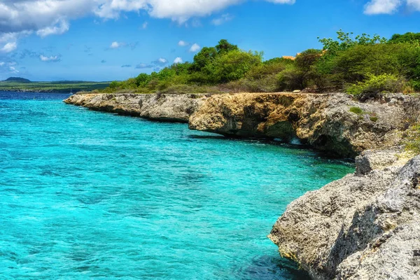 Bela Costa Ilha Caribenha Bonaire Bom Local Mergulho Snorkel Ilha — Fotografia de Stock