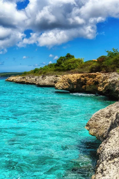 Bella Costa Sull Isola Caraibica Bonaire Buon Sito Immersione Snorkeling — Foto Stock