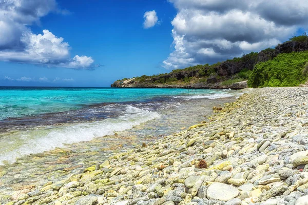 Красивый Пляж Карибском Острове Бонайре Хороший Сноркель Место Дайвинга Острове — стоковое фото