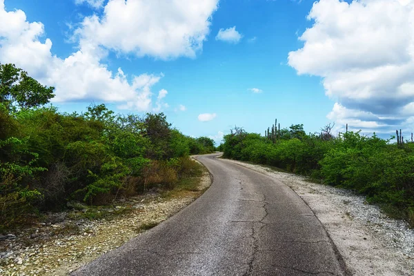 Road Surrounded Green Scenery Cloudy Sky Bonaire Caribbean — Stock Photo, Image