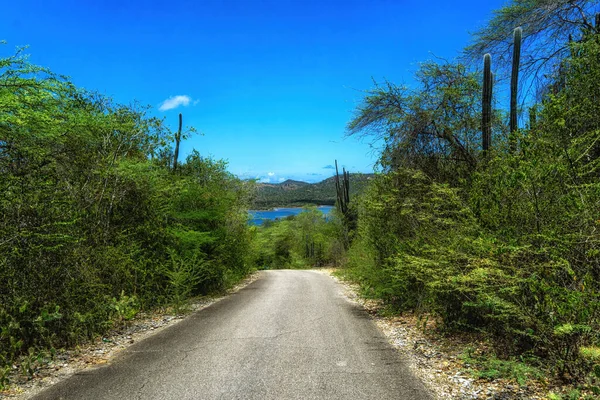 Road Surrounded Green Scenery Blue Sky Bonaire Caribbean — Stock Photo, Image