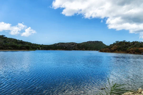 Bonaire Adasındaki Salt Flamingo Gölü Git — Stok fotoğraf