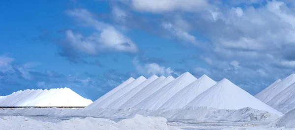 Piles Salt Saltpans Zoutpannen Pink Lakes Bonaire Caribbean — Stock Photo, Image