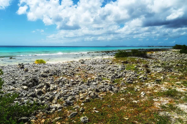 Praia Coral Costa Oeste Ilha Tropical Bonaire Nas Antigas Antilhas — Fotografia de Stock