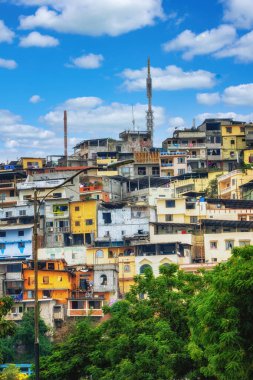 Las Penas bölgesinde renkli evler, tarihi merkez, Cerro Santa Ana, Guayaquil, Guayas Eyaleti, Ekvador