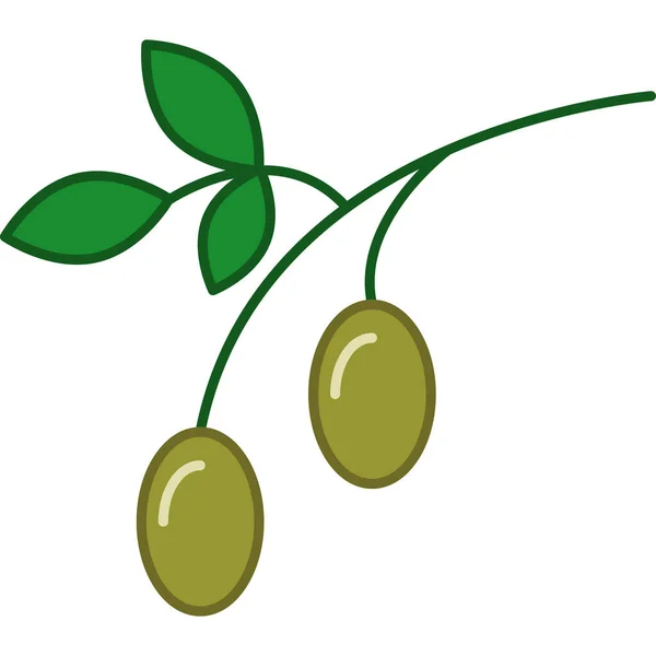 Olijven Gevulde schets Icoon Fruit Vector — Stockvector