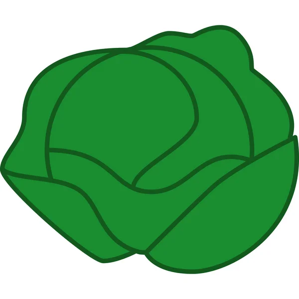 Iceberg Lettuce填充型Icon向量概要 — 图库矢量图片