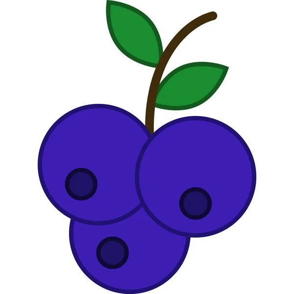 Blueberry Plný obrys Icon Fruit Vector — Stockový vektor