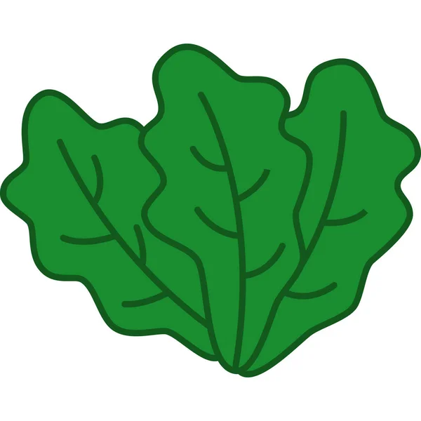 Romaine Lettuce Filled Outline Icon Vector — 스톡 벡터