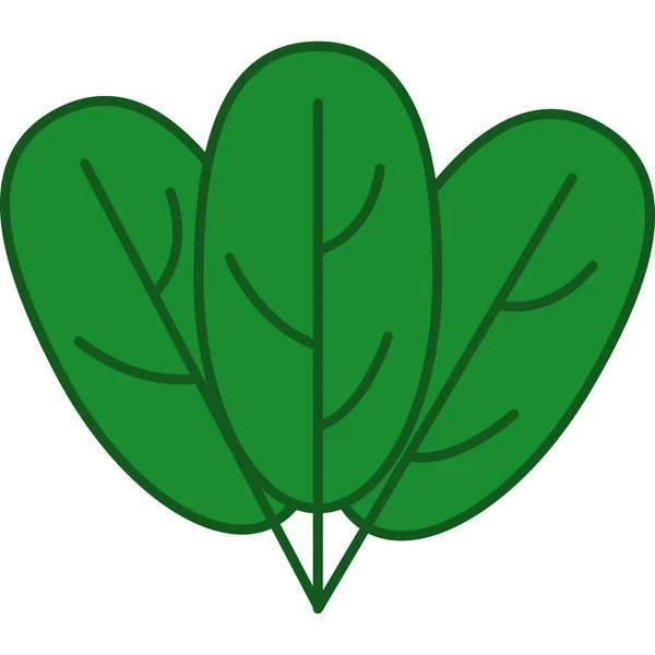 Spinach Filled Outline Icon Vektor Sayuran - Stok Vektor