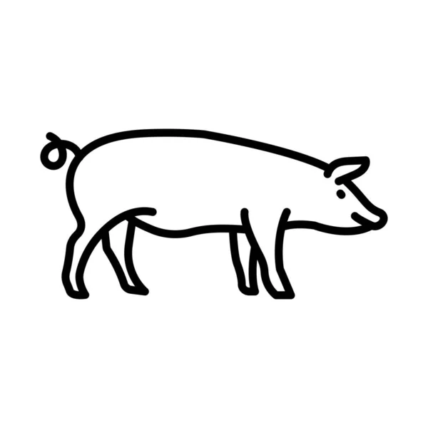Свинка контур значок тварини Вектор — стоковий вектор