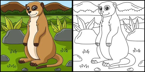 Meerkat Kleurplaat Vector Illustratie — Stockvector