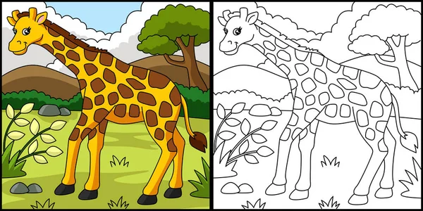 Żyrafa kolorowanie strony Wektor ilustracji — Wektor stockowy