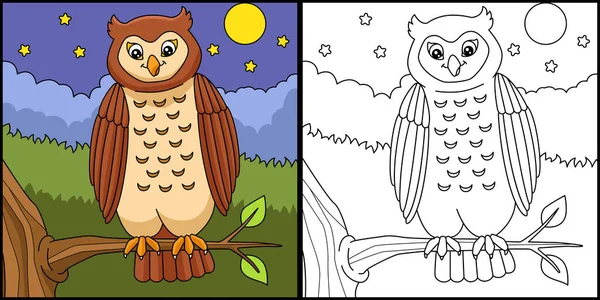 Owl Coloring Page Colored Illustration — Stock Vector