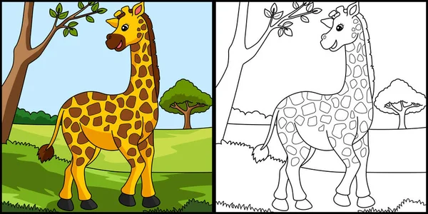 Giraffe Kleurplaat Gekleurde Illustratie — Stockvector
