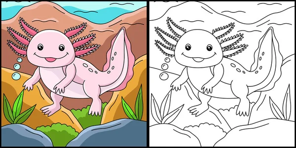 Axolotl Renkli Sayfa Resimleri