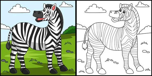 Zebra Kleurplaat Gekleurde Illustratie — Stockvector