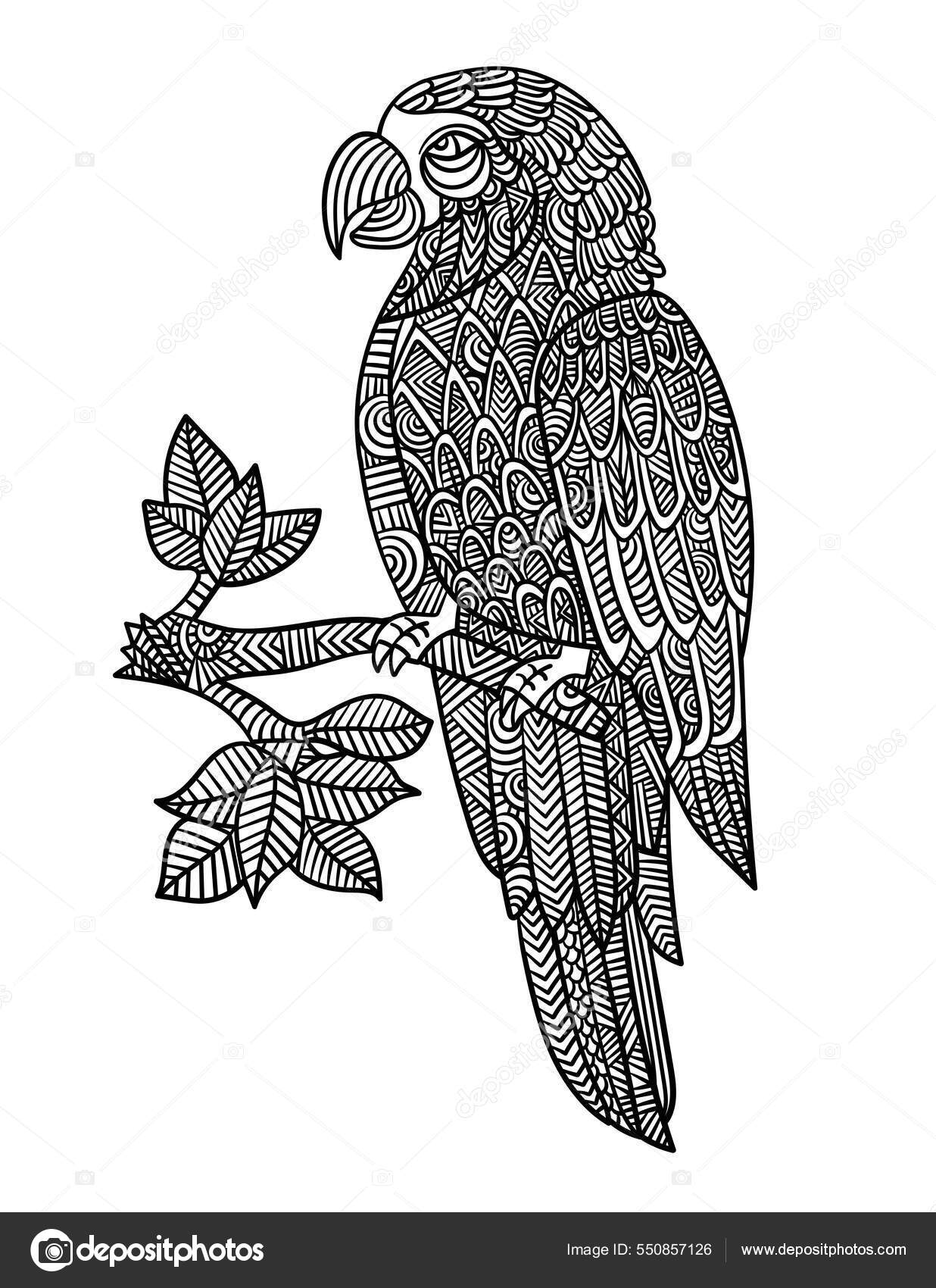 Parrot Mandala Images Vectorielles Parrot Mandala Vecteurs Libres De Droits Depositphotos Parrot Mandala Images Vectorielles Parrot Mandala Vecteurs Libres De Droits Depositphotos