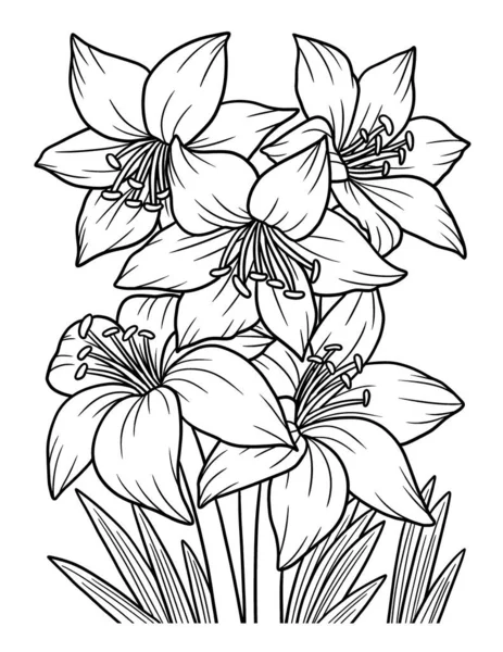 Amaryllis Flower para colorear página para adultos — Vector de stock