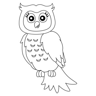 Ağaç dalındaki Baykuş Renklendirme Sayfası İzole 