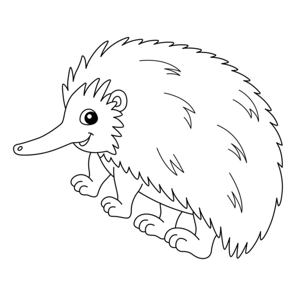 Echidna Animal Coloring Page Isolerad för barn — Stock vektor