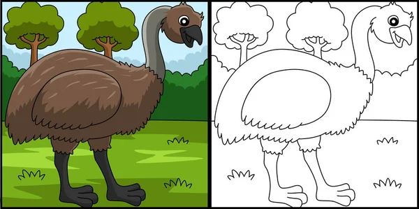 Dibujo para colorear de animales del emú ilustración coloreada — Archivo Imágenes Vectoriales
