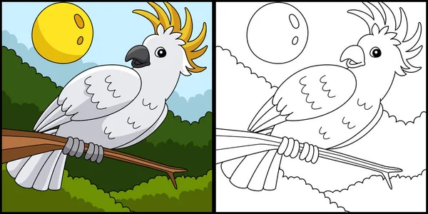 Coloring Page Χρωματισμός ζώων Cockatoo Έγχρωμη απεικόνιση — Διανυσματικό Αρχείο