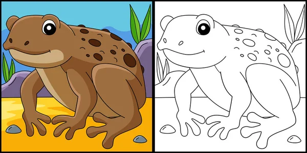 Żaba trzcinowa zwierząt kolorowanki strony Ilustracja — Wektor stockowy